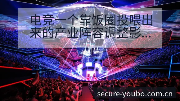 电竞一个靠饭圈投喂出来的产业阵容调整影响深度分析 - 友博体育APP