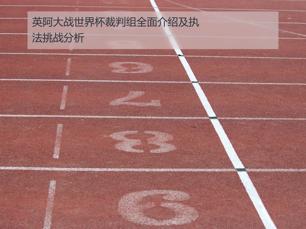 英阿大战世界杯裁判组全面介绍及执法挑战分析