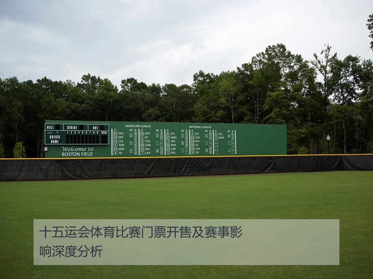 十五运会体育比赛门票开售及赛事影响深度分析